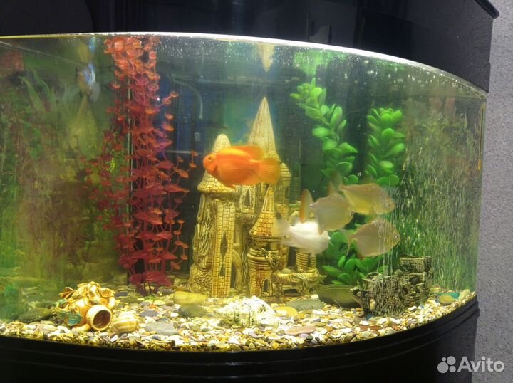 Украшения для аквариума