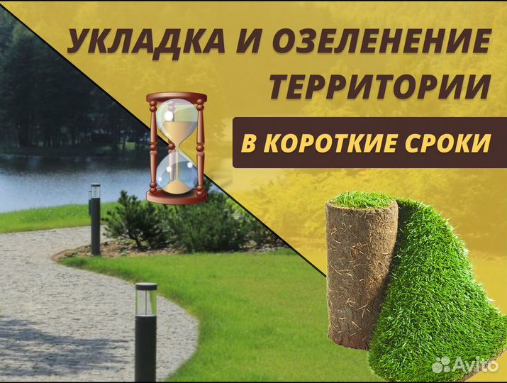 Рулонный газон Стандарт от производителя