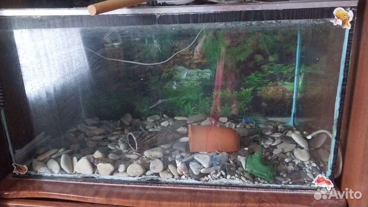 Аквариум