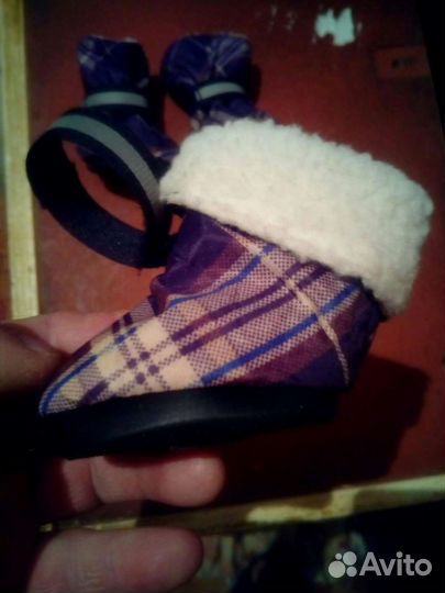 Обувь для собак