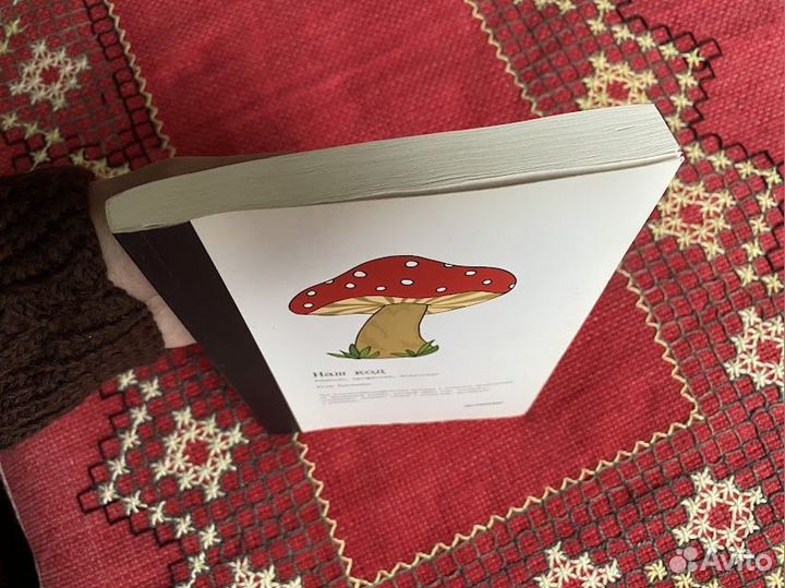 Наш код. Ремесло, профессия, искусство. Бугаенко