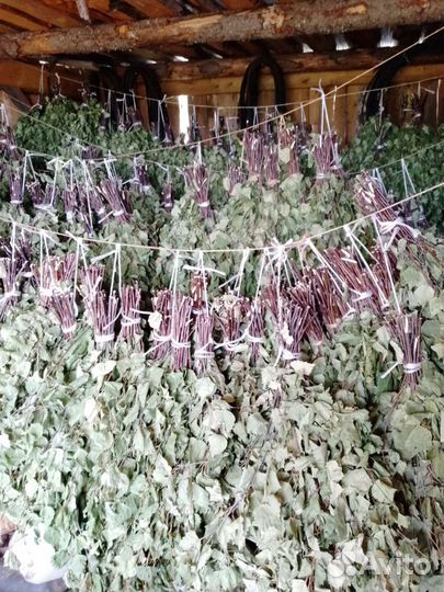 Берёзовые веники