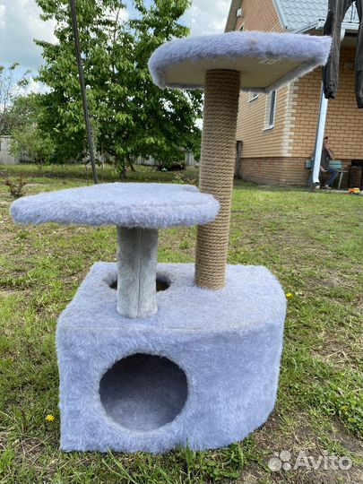 Когтеточка