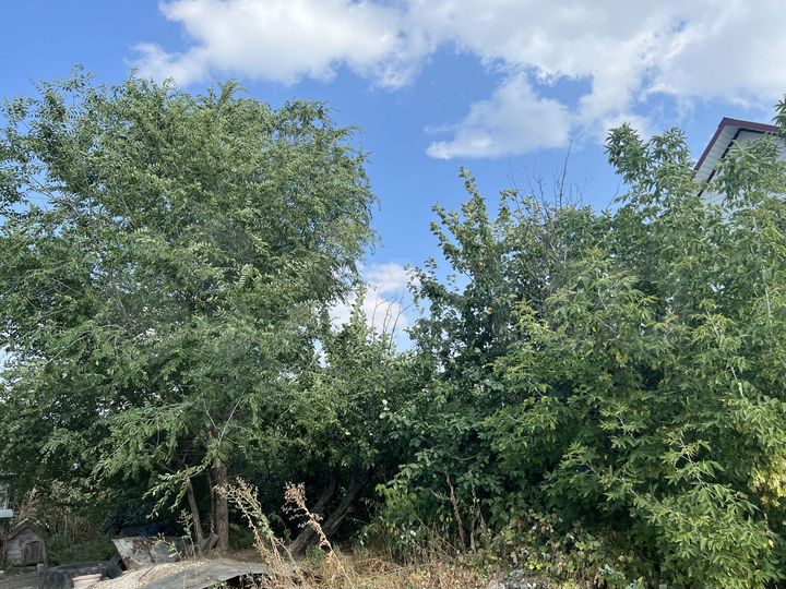 Дом 70 м² на участке 23 сот.