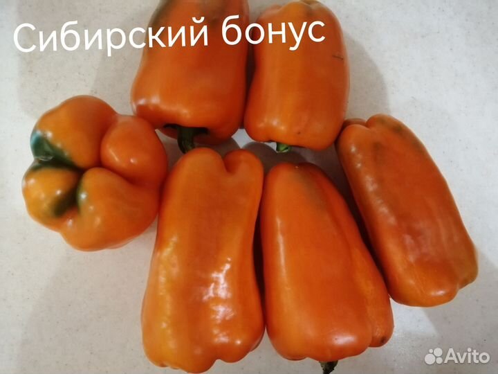 Семена перца сладкого