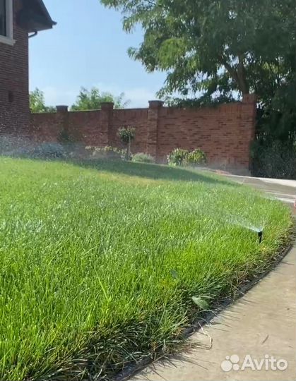 Автополив газона