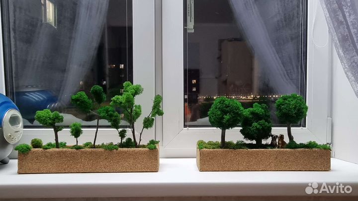 Декор, стабилизированный мох