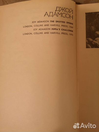 Джой Адамсон Пятнистый сфинкс