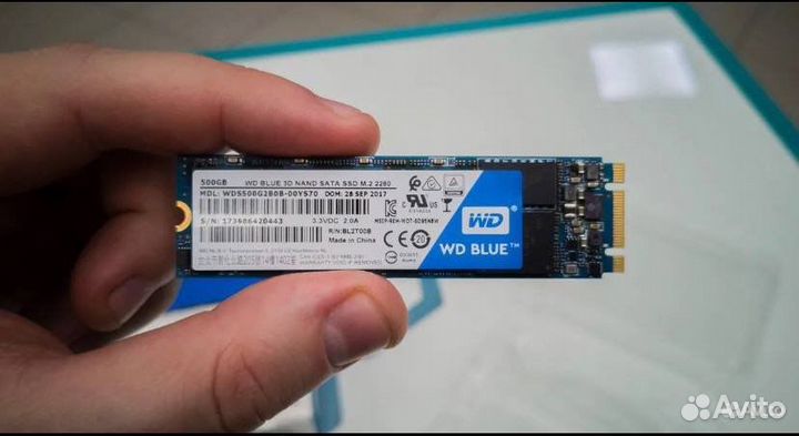 Ssd m.2 WD blue 500gb