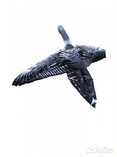 Чучело для охоты гусь гуменник (флюгер)