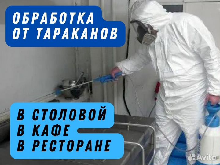 Уничтожение тараканов, травить клопов, обработка