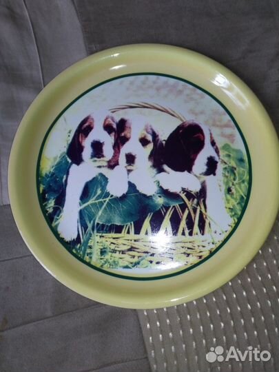 Тарелка 