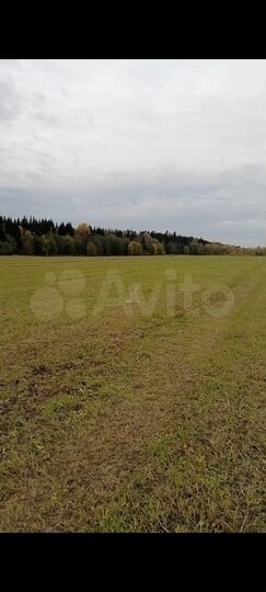 Участок 1,3 га (промназначения)