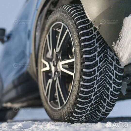 Nokian Tyres Hakkapeliitta 10p SUV 275/60 R20 115T