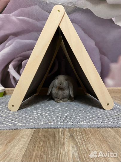Домик для кролика/кошки