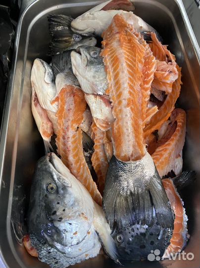 Супоновой набор, лосось