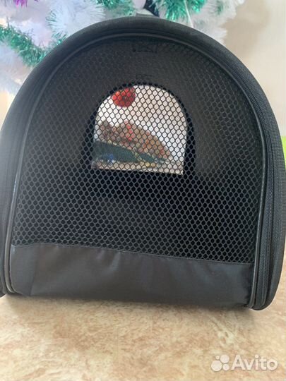 Прокат переноски для кошек и собак мелких пород.а