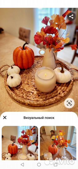 Тыква декоративная белая