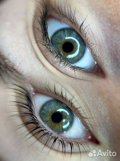 Ламинирование бровей и ресниц