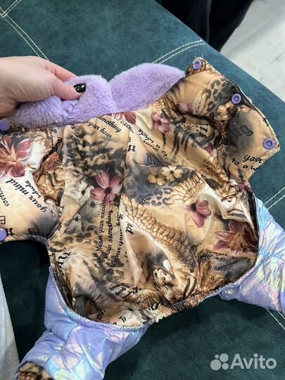 Одежда для маленьких собак