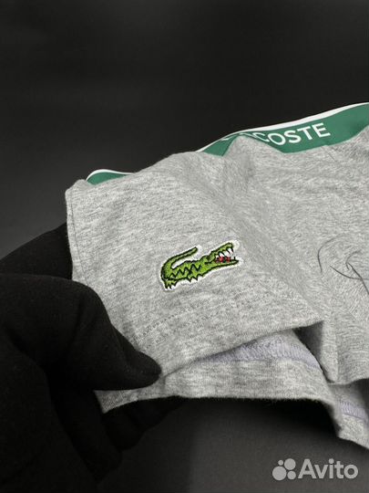 Комплект трусов Lacoste