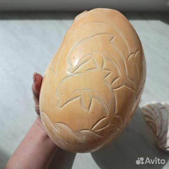 Морские ракушки раковины комплект 2 шт