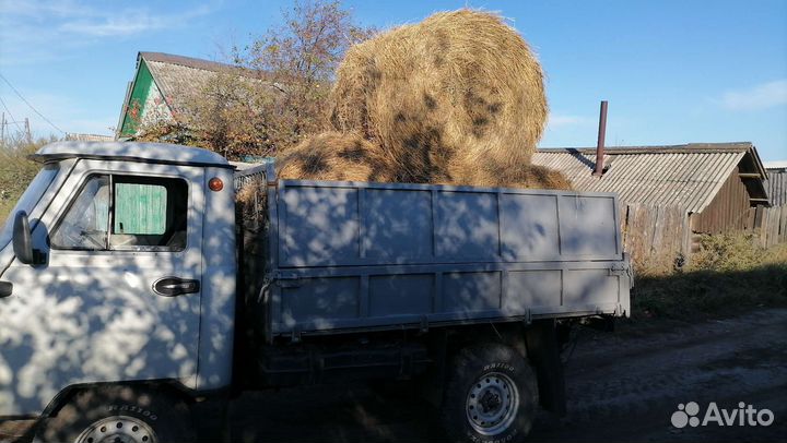 Сено в рулонах