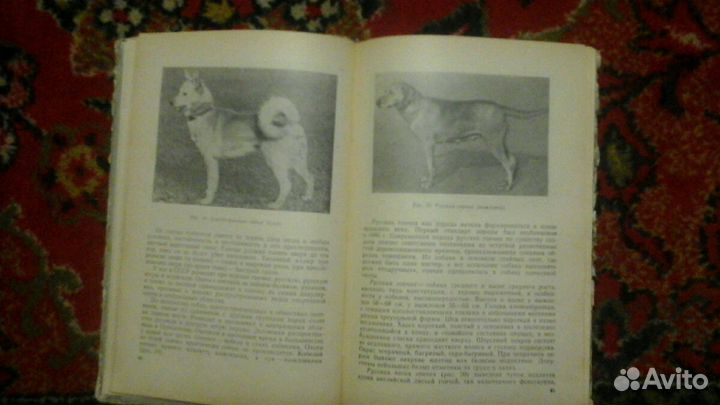 Пособие по охотничьему собаководству