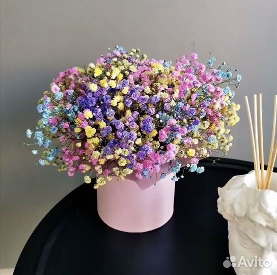 Радужная гипсофила