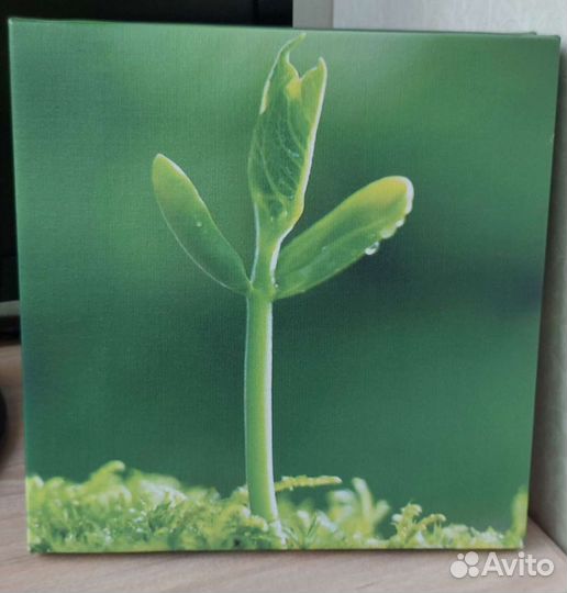 Модульные картины 25х25см