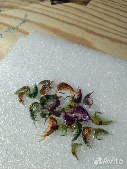 Мормышки Бокоплав