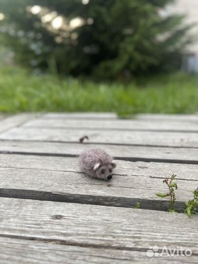 Ежик, еж маленький