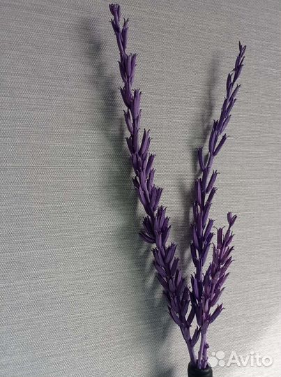 Веточки декоративные