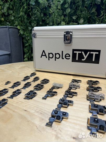 Камеры iPhone Оригинал снятые