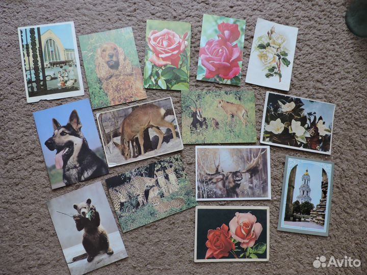 Наборы репродукций, почтовые открытки и наклейки