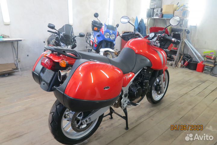 Triumph tiger 955