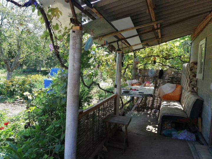 Дача 50 м² на участке 10,6 сот.