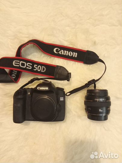 Canon 50D + Canon EF 50mm f/1.4 USM (Sigma 10 -20)