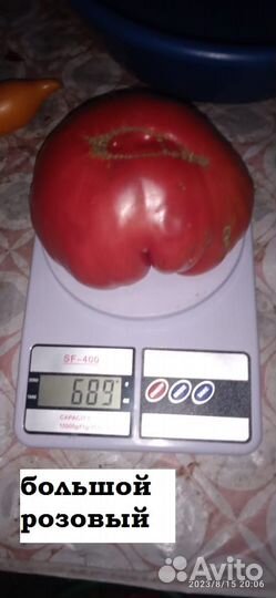 Семена помидор СССР