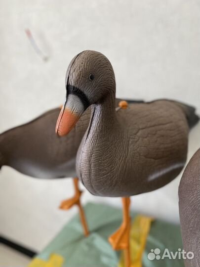 Чучела белолобых гусей 40,1 см