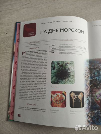 Энциклопедия любознательных. Животные. 