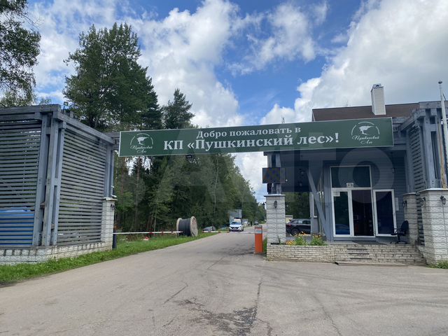 Пушкинский лес поселок. Пушкинский лес коттеджный поселок. Кп "пушкинский лес" могильцы. Пушкинский лес участок. Пушкинский лес коттеджный поселок.