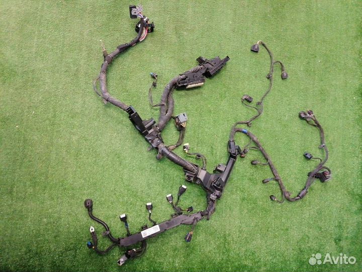 Проводка двигателя Kia K5 DL3 G4KN 2.5 2021