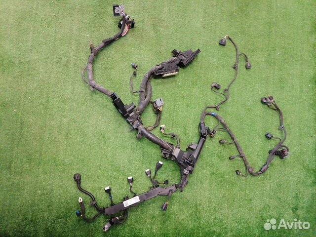 Проводка двигателя Kia K5 DL3 G4KN 2.5 2021