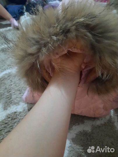 Пуховик для девочки 116