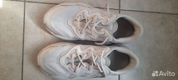 Кроссовки adidas ozweego унисекс 255 см