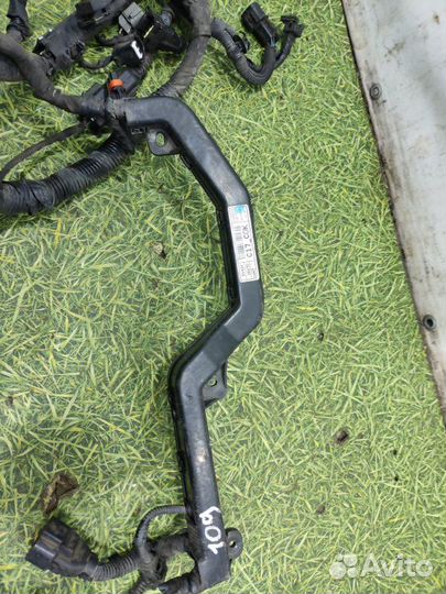 Проводка двигателя Kia Rio 2 хэтчбек 1.4 G4EE 2008