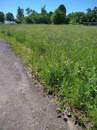 Участок 20 сот. (ИЖС)