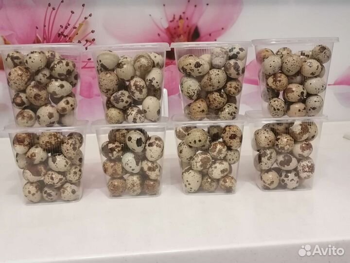 Продукты питания