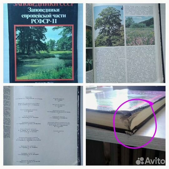 Книги о городах. Фотоальбомы